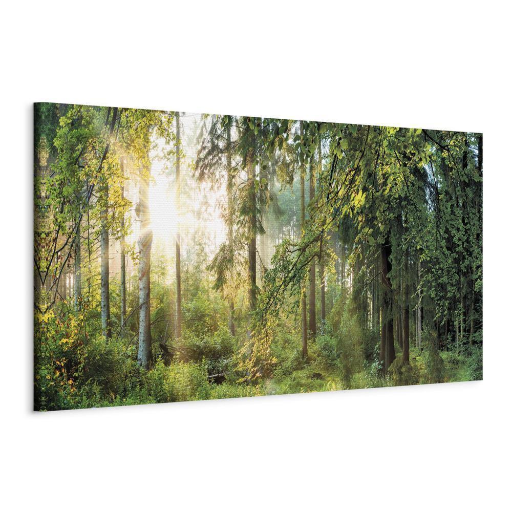 Canvas Print - Forest Shelter-ArtfulPrivacy-Wall Art Collection