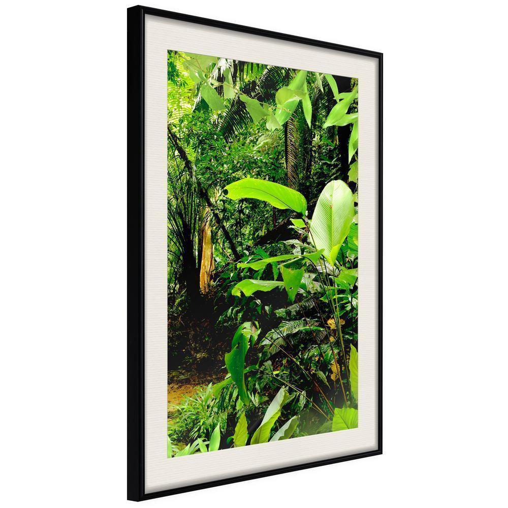 Framed Art - In the Rainforest-artwork for wall with acrylic glass protection