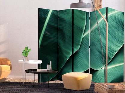 Room Divider - Banana Leaf II- A 5 Panel Folding Screen For Living rooms, bedrooms or home office, decorative folding screen made with wood and canvas