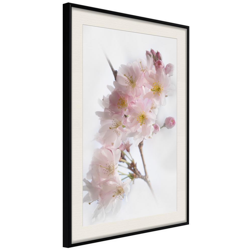 Botanical Wall Art - Scent of Spring-artwork for wall with acrylic glass protection