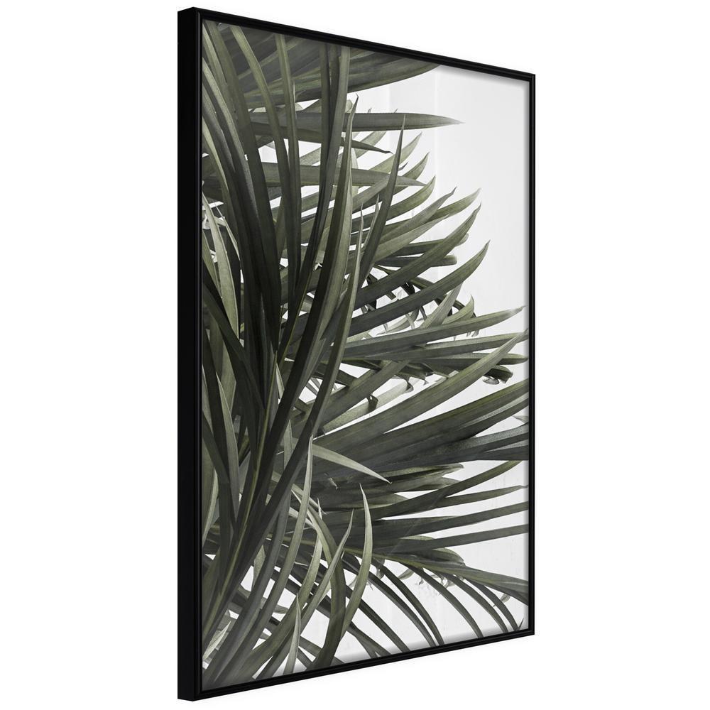 Botanical Wall Art - Little Tropics-artwork for wall with acrylic glass protection