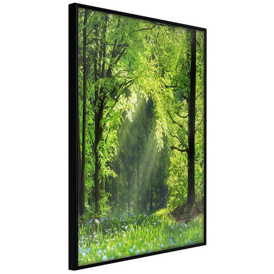 Framed Art - Forest Path-artwork for wall with acrylic glass protection