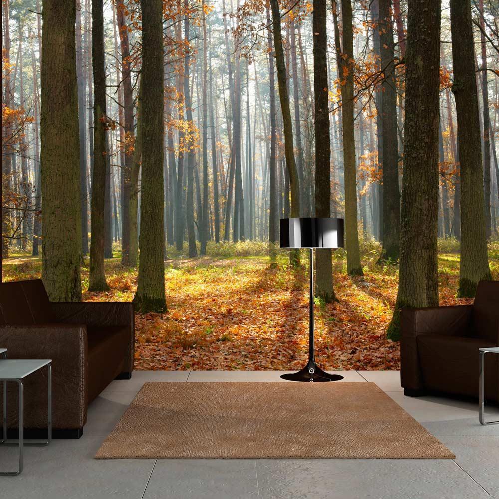 Wall Mural - Autumn trees-Wall Murals-ArtfulPrivacy