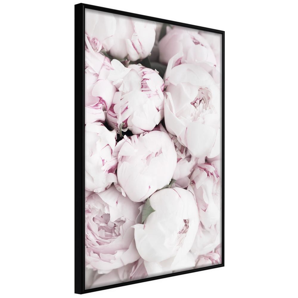 Botanical Wall Art - Girly Dream-artwork for wall with acrylic glass protection