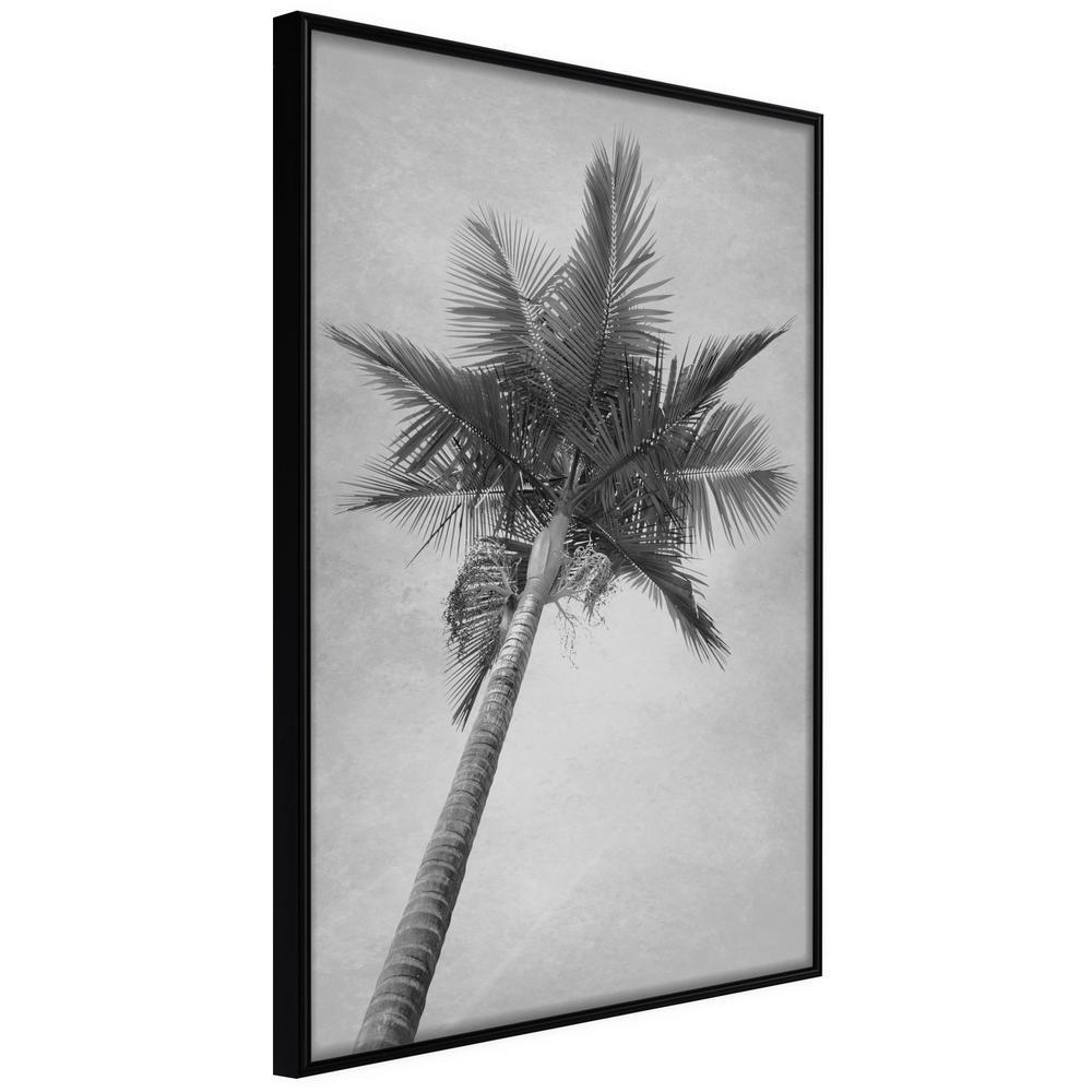 Black and White Framed Poster - Memories from the Paradise-artwork for wall with acrylic glass protection