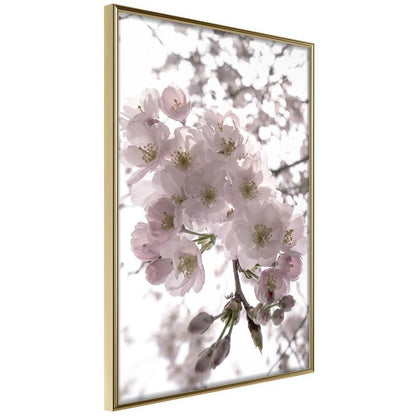 Botanical Wall Art - Spring Visit-artwork for wall with acrylic glass protection