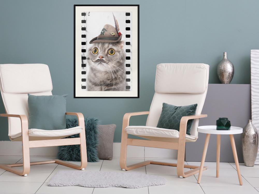 Frame Wall Art - Dressed Up Cat-artwork for wall with acrylic glass protection