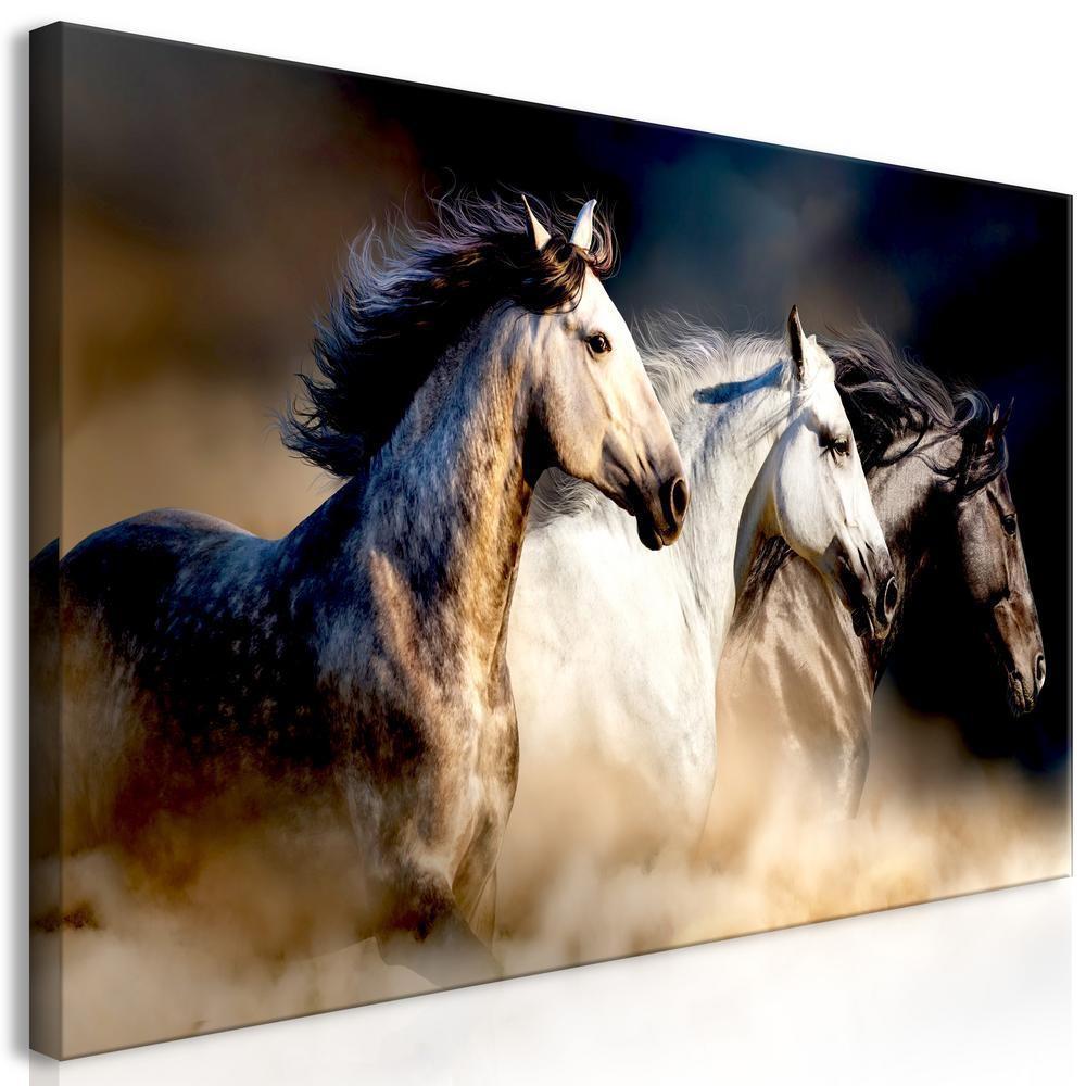 Canvas Print - Sons of the Wind (1 Part) Wide-ArtfulPrivacy-Wall Art Collection