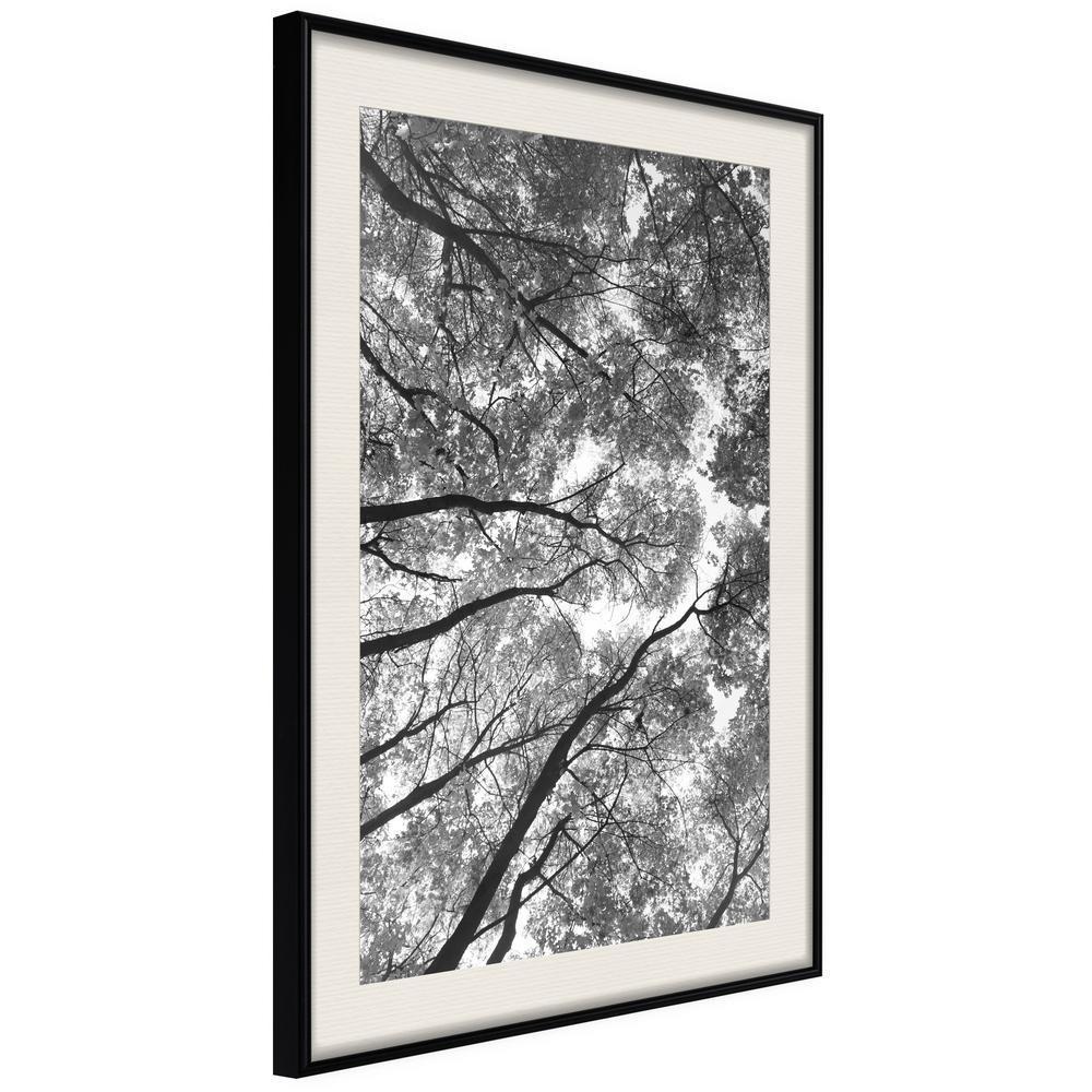 Botanical Wall Art - Lying on the Grass-artwork for wall with acrylic glass protection