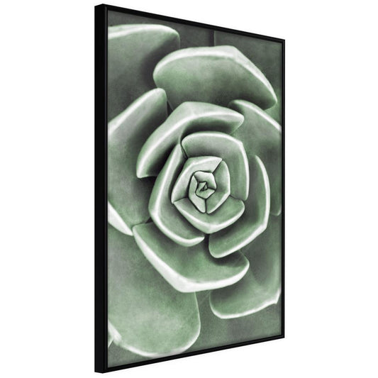 Botanical Wall Art - Robust Plant-artwork for wall with acrylic glass protection