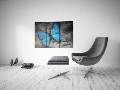 Canvas Print - The study of butterfly - triptych-ArtfulPrivacy-Wall Art Collection