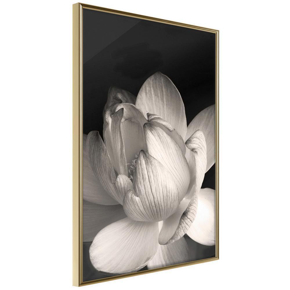 Botanical Wall Art - Delicacy of a Flower-artwork for wall with acrylic glass protection