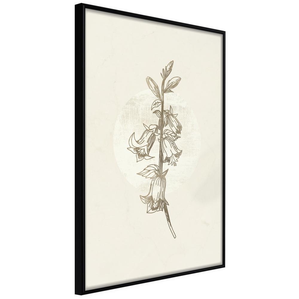 Botanical Wall Art - Beige Campanula-artwork for wall with acrylic glass protection