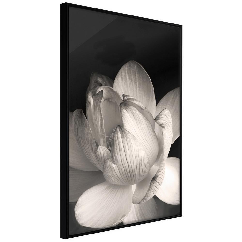 Botanical Wall Art - Delicacy of a Flower-artwork for wall with acrylic glass protection