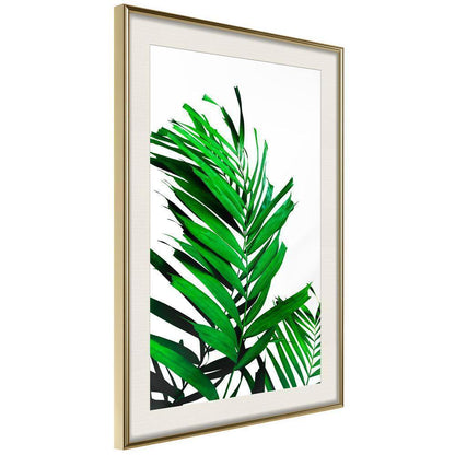 Botanical Wall Art - Emerald Palm-artwork for wall with acrylic glass protection