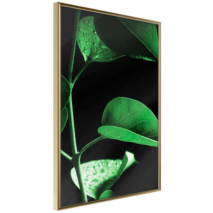 Botanical Wall Art - Calm After the Storm-artwork for wall with acrylic glass protection