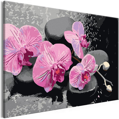 Start learning Painting - Paint By Numbers Kit - Orchid With Zen Stones (Black Background) - new hobby