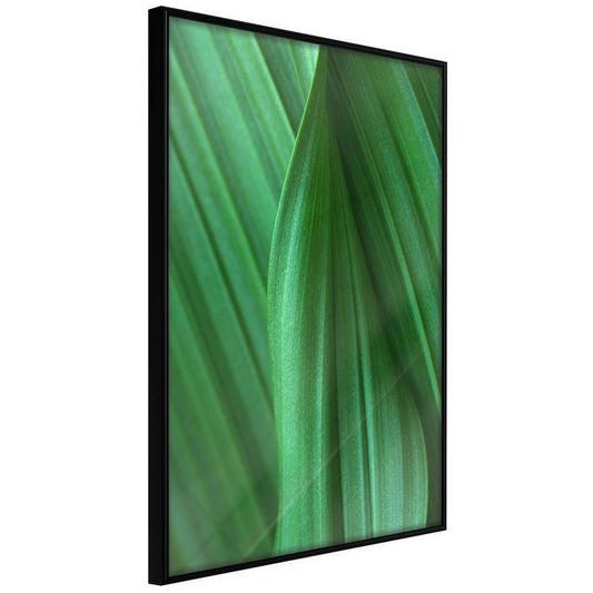 Botanical Wall Art - Leaf Structure-artwork for wall with acrylic glass protection