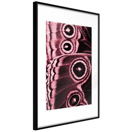 Framed Art - Butterfly Wings-artwork for wall with acrylic glass protection