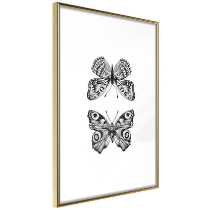 Black and White Framed Poster - Butterfly Collection I-artwork for wall with acrylic glass protection