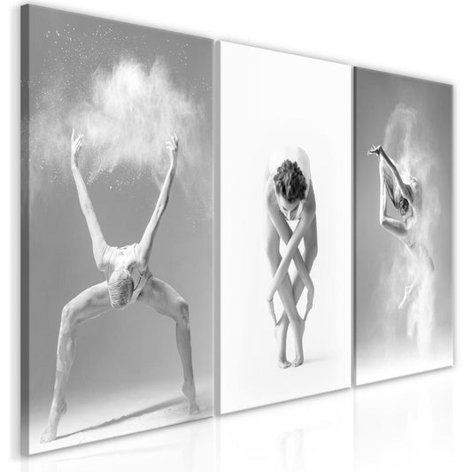 Canvas Print - Ballet (Collection)-ArtfulPrivacy-Wall Art Collection
