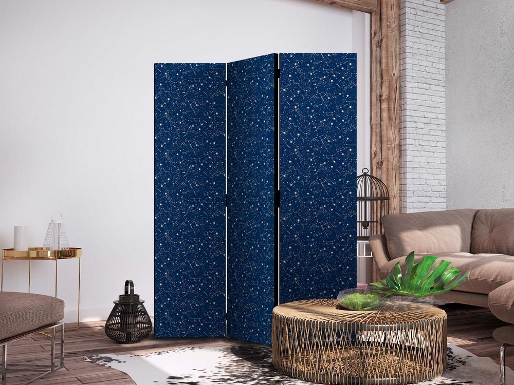 Room Divider - Cosmic Inspirations - Pattern with Stars and Constellations on a Dark Background