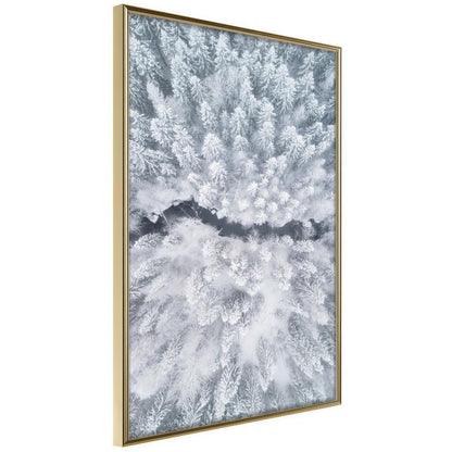 Winter Design Framed Artwork - Winter Forest From a Bird's Eye View-artwork for wall with acrylic glass protection