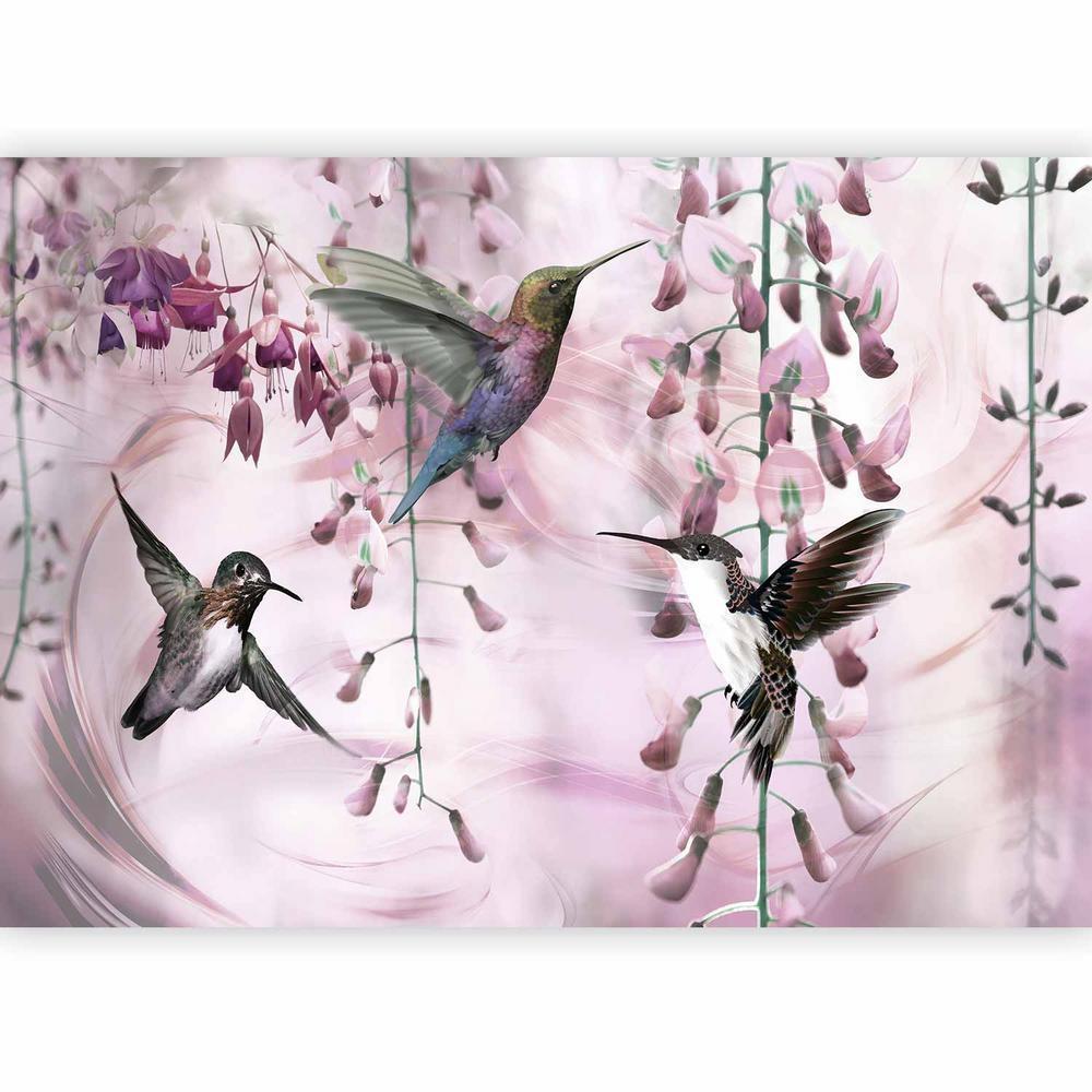 Wall Mural - Flying Hummingbirds (Pink)