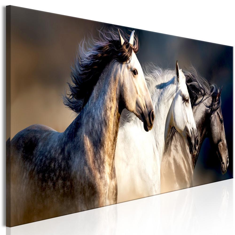 Canvas Print - Sons of the Wind (1 Part) Narrow-ArtfulPrivacy-Wall Art Collection