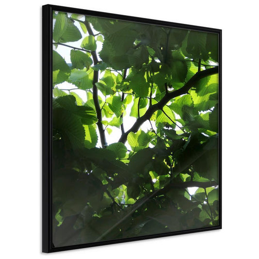 Botanical Wall Art - Under Cover of Leaves-artwork for wall with acrylic glass protection