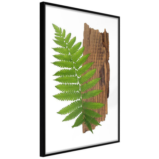 Botanical Wall Art - Expressive Ferm-artwork for wall with acrylic glass protection