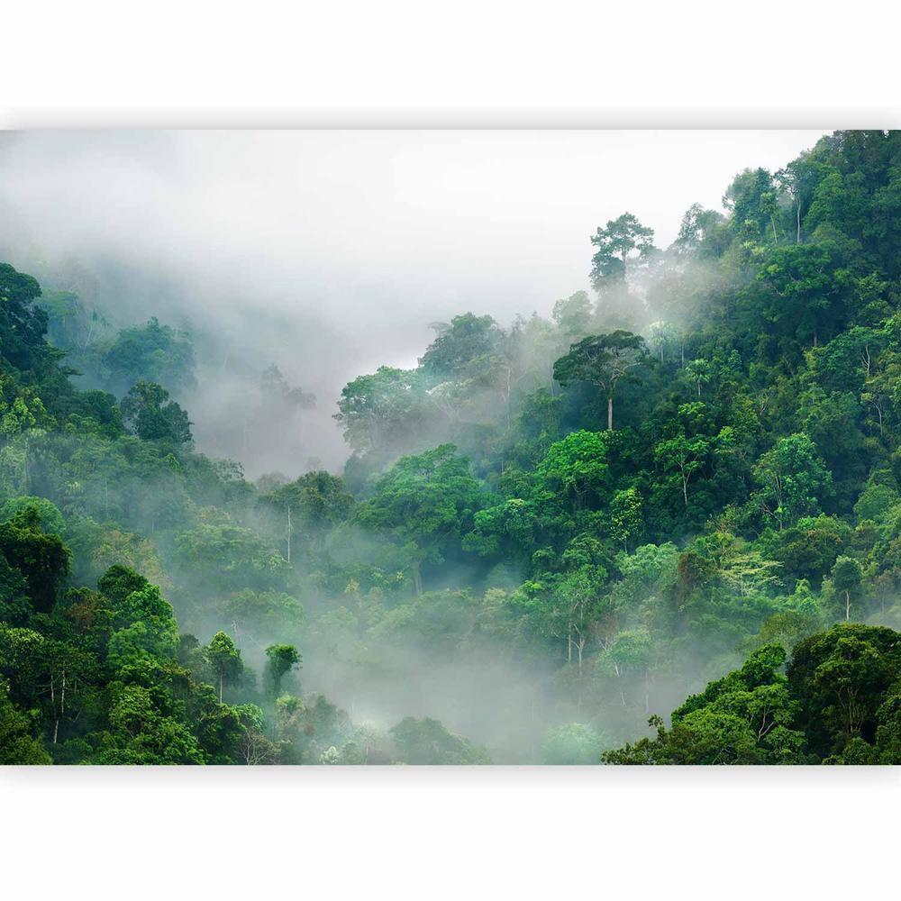 Papier peint - Brouillard matinal