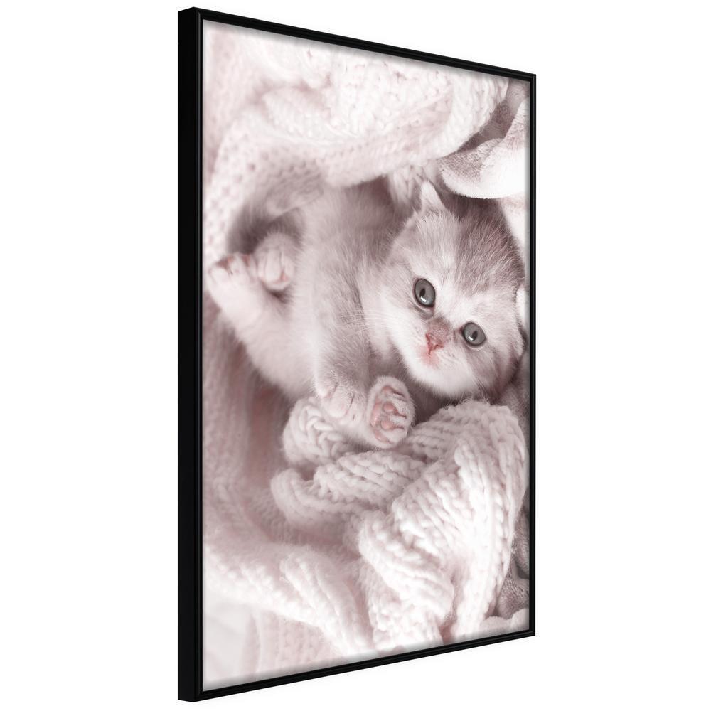 Winter Design Framed Artwork - Tangled in Sweater-artwork for wall with acrylic glass protection