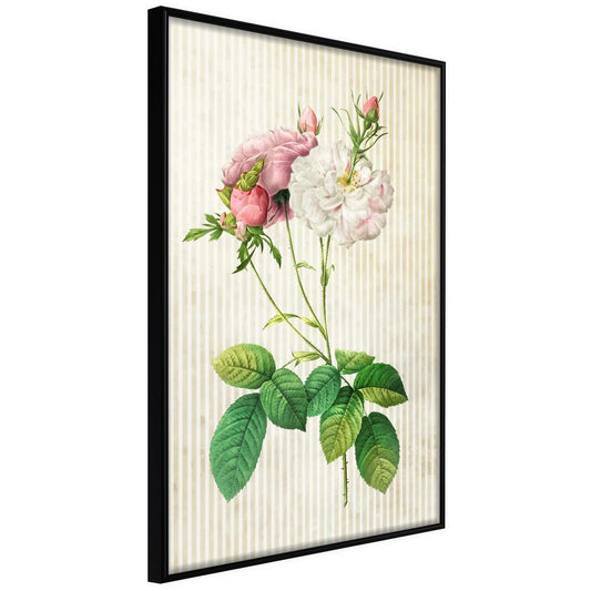 Botanical Wall Art - Romance I-artwork for wall with acrylic glass protection