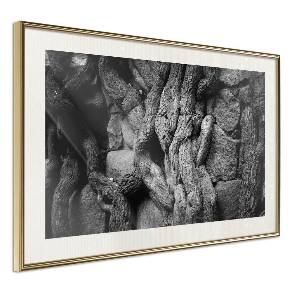 Framed Art - Strong Roots-artwork for wall with acrylic glass protection