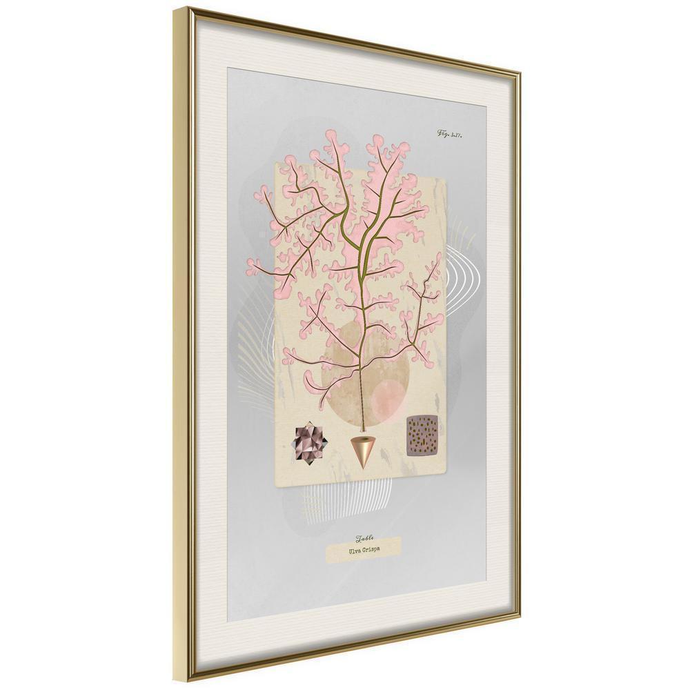 Abstract Poster Frame - Seaweed-artwork for wall with acrylic glass protection