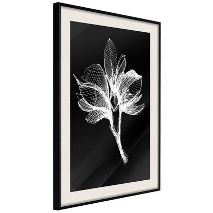 Botanical Wall Art - White Plant-artwork for wall with acrylic glass protection