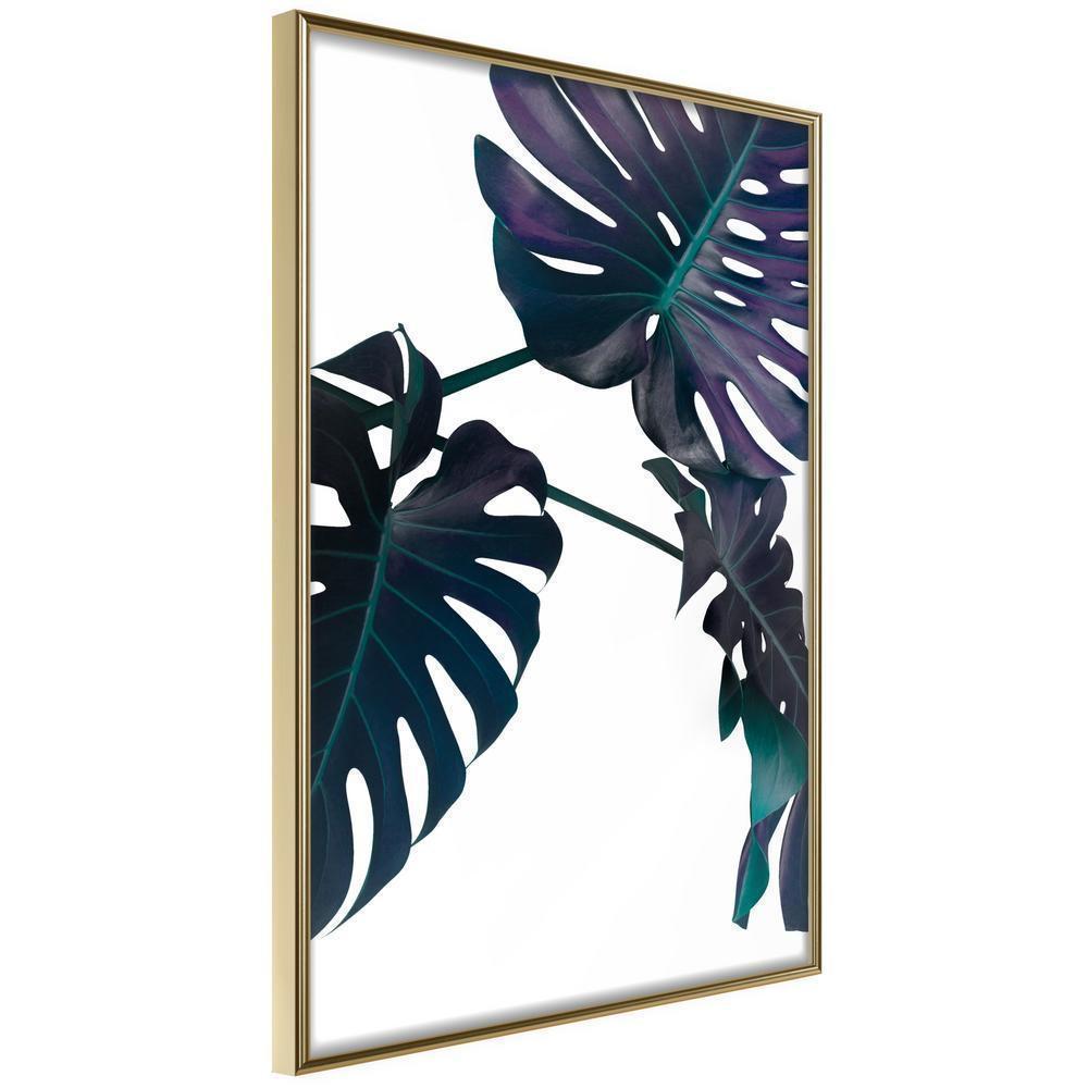 Botanical Wall Art - Evergreen Monstera-artwork for wall with acrylic glass protection