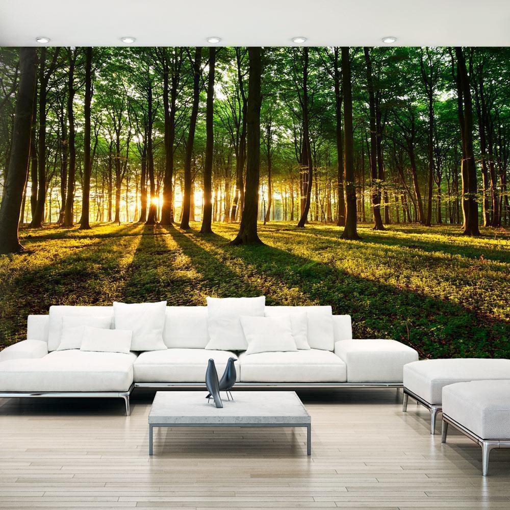 Wall Mural - Mystical Morning II-Wall Murals-ArtfulPrivacy