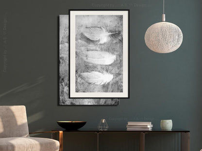 Black and White Framed Poster - Delicate Feathers-artwork for wall with acrylic glass protection