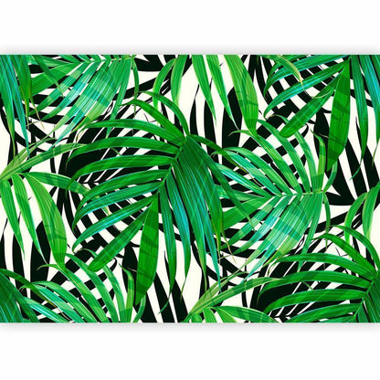 Papier peint - Feuilles tropicales