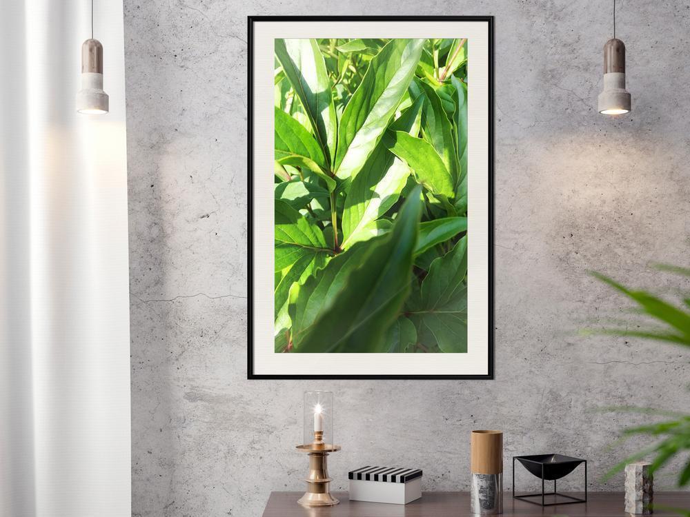 Botanical Wall Art - Somewhere in the Garden-artwork for wall with acrylic glass protection