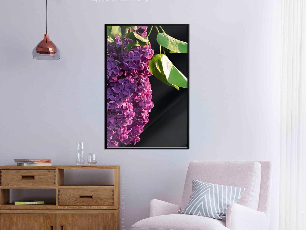 Botanical Wall Art - Violet May-artwork for wall with acrylic glass protection