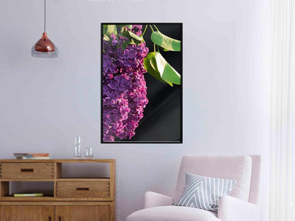 Botanical Wall Art - Violet May-artwork for wall with acrylic glass protection