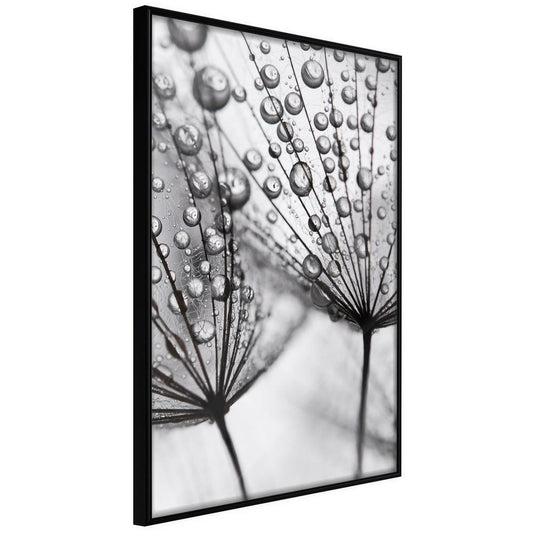 Winter Design Framed Artwork - Dew in the Macro Scale-artwork for wall with acrylic glass protection