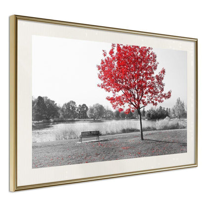 Autumn Framed Poster - Autumn Colours I-artwork for wall with acrylic glass protection