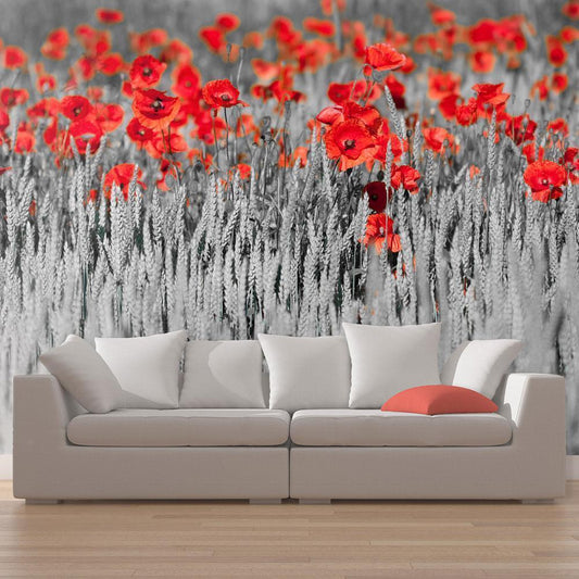 Wall Mural - Red poppies on black and white background-Wall Murals-ArtfulPrivacy