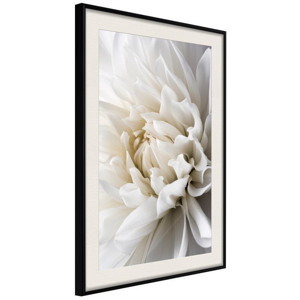 Botanical Wall Art - Peace of Mind-artwork for wall with acrylic glass protection