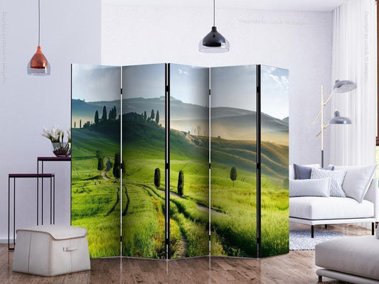Decorative partition-Room Divider - Morning in the countryside II-Folding Screen Wall Panel by ArtfulPrivacy