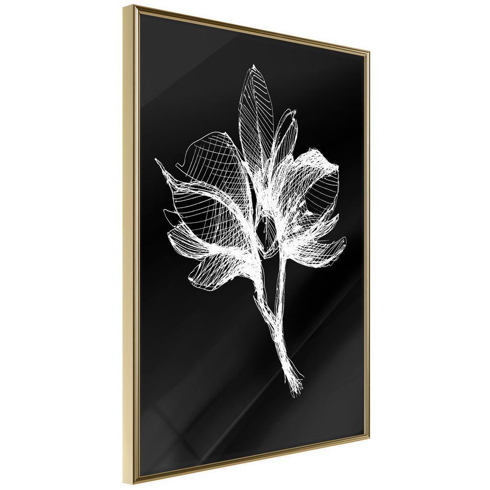 Botanical Wall Art - White Plant-artwork for wall with acrylic glass protection